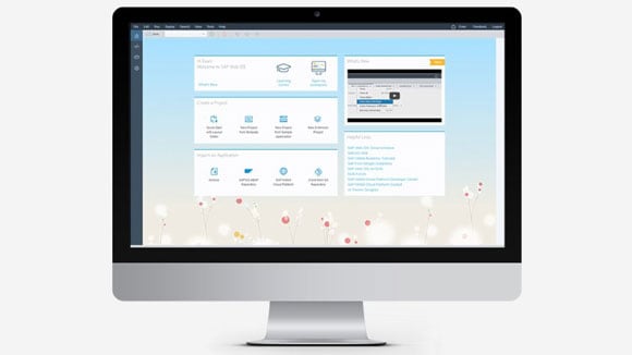 files/2016/10/sap-program.jpg 580w, http://www.x.kr.ua/files/2016/10/sap-program-300x169.jpg 300w Программа SAP