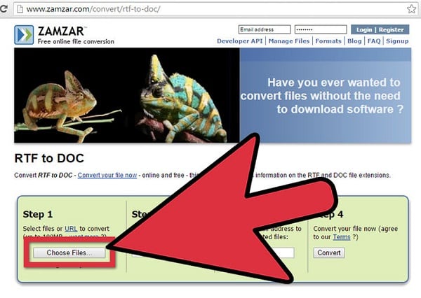 Usługa ZAMZAR Сервис ZAMZAR