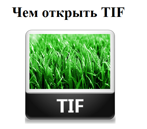 Rozszerzony Tagged Image File Format Расширение Tagged Image File Format