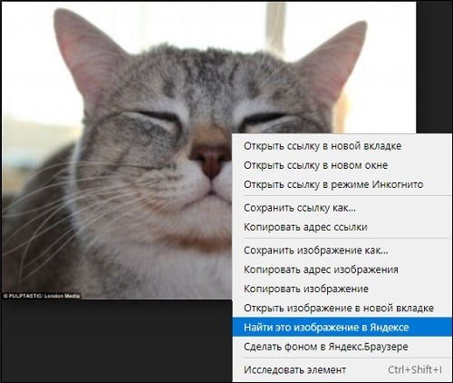 Возможности веб-навигатора от Яндекс позволяют осуществлять поиск искомых изображений с помощью функционала самого браузера